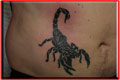 tatouage de scopion tribal relief tattoo valenciennes nord.